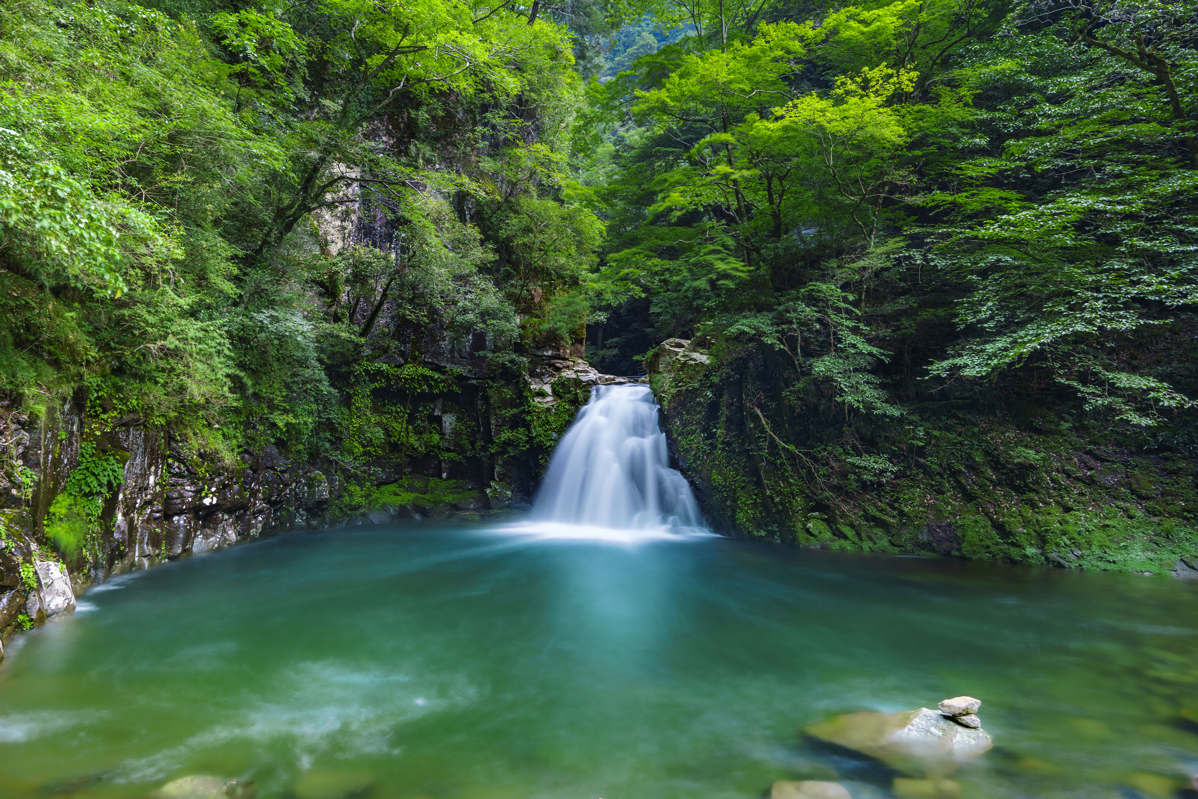 きれいな水環境をこどもたちに